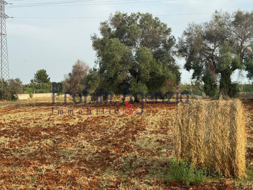 Helårsgrund i Carovigno, Brindisi - foto 2